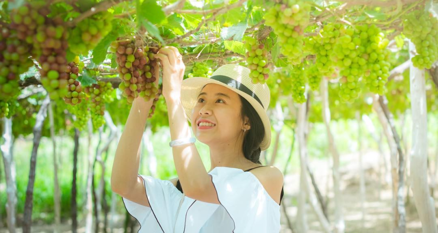 TOUR Phan Rang - Ninh Chu 3 DAYS 2 NIGHTS thumbs 2