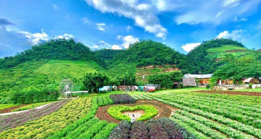 MOC CHAU TOUR 3 DAYS 2 NIGHTS thumbs 2