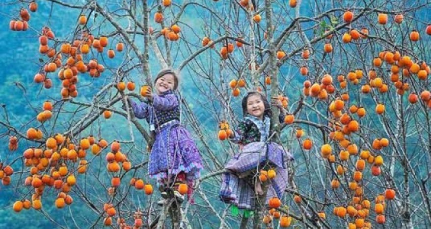 MOC CHAU TOUR 3 DAYS 2 NIGHTS thumbs 1